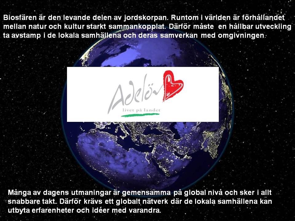 bild09 bild09