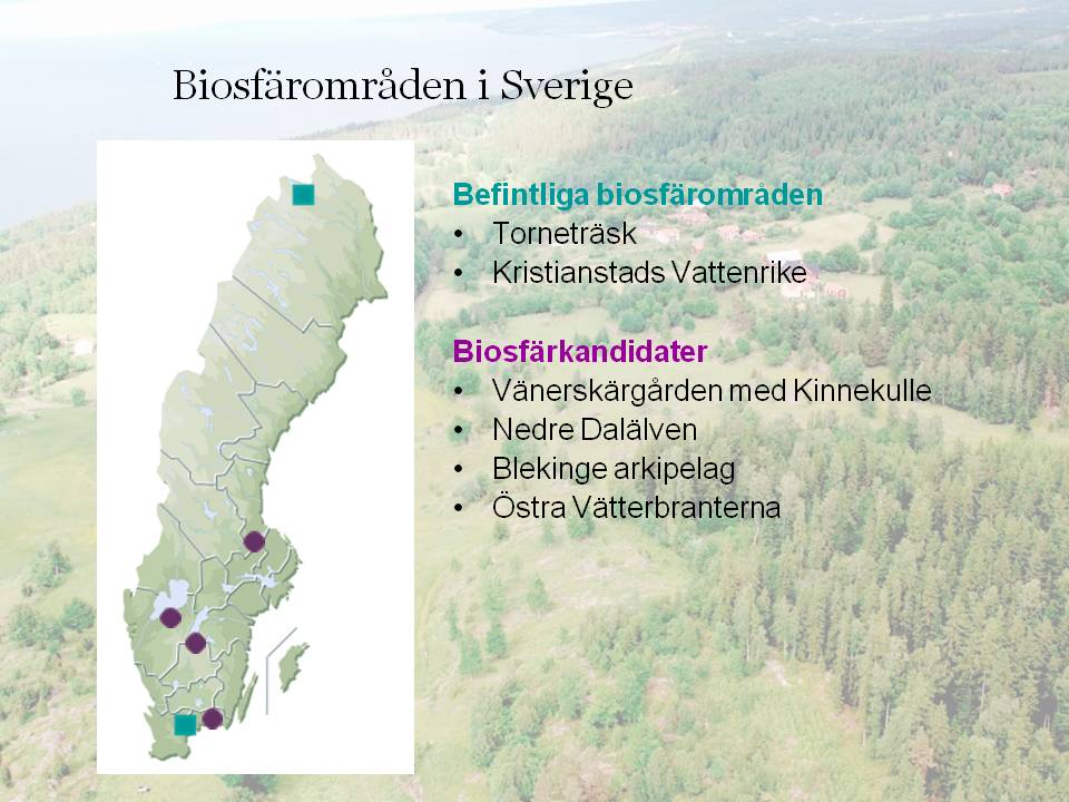 bild15 bild15