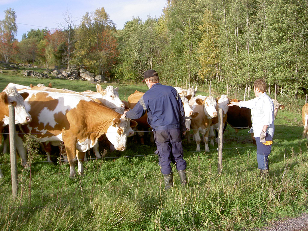 Tinna och Thomas i Stötarp Tinna och Thomas i Stötarp