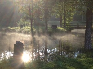 IMG_0999
