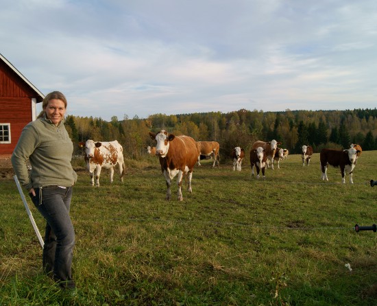 ase_landet