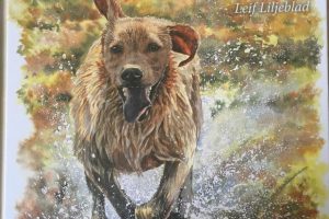 liljeblad_hund